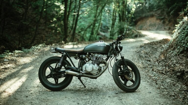 Moto garée sur une route bordée d'arbres